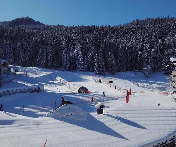 La Tania 公寓 谷雪维尔